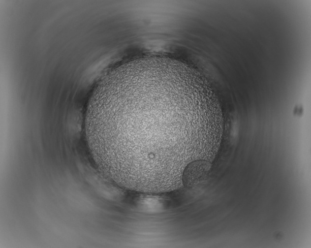 X0000113980710200910021137