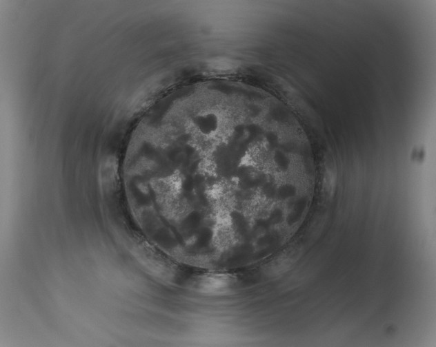 X0000113980711200910021137