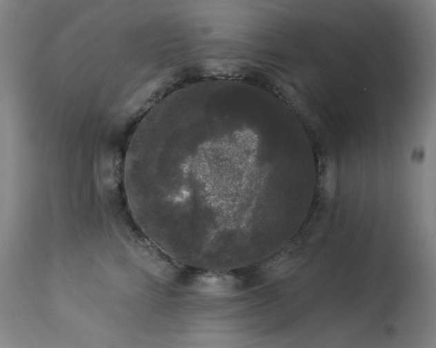 X0000113980712200910021137