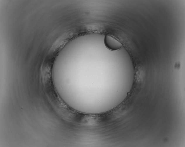 X0000113980713200910021137