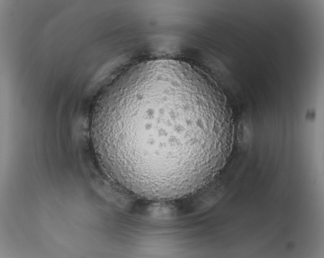 X0000113980714200910021137