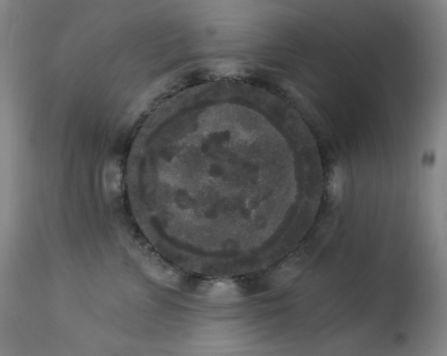 X0000113980715200910021137