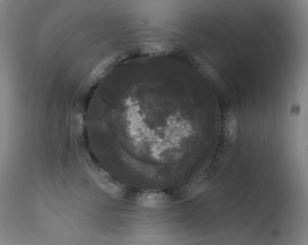 X0000113980716200910021137