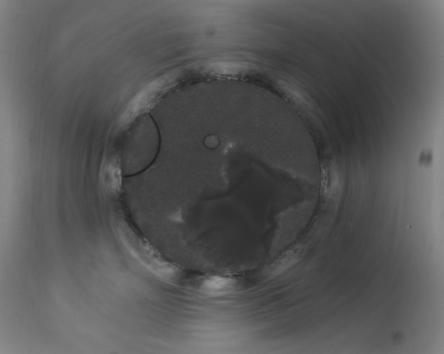 X0000113980718200910021137