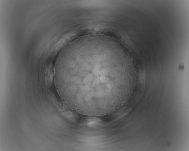 X0000113980719200910021137