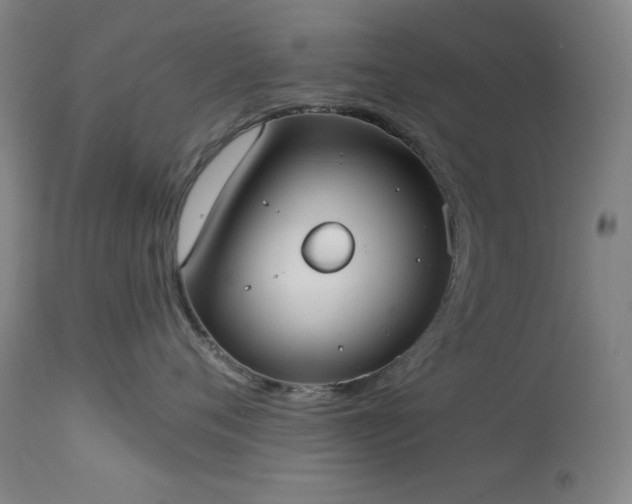 X0000113980720200910021137