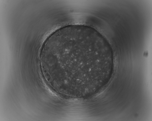 X0000113980721200910021136