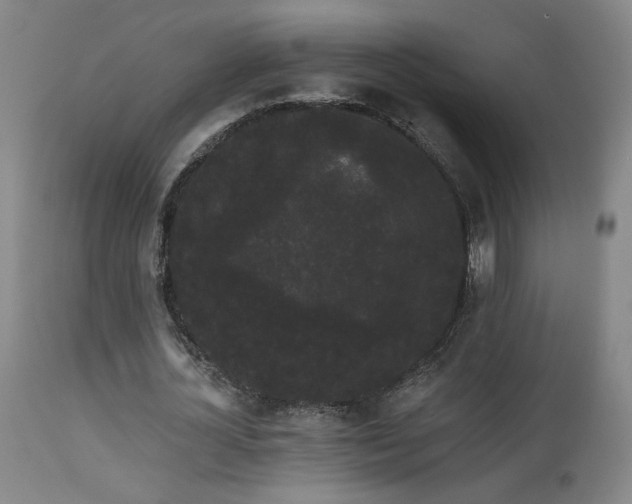 X0000113980724200910021136