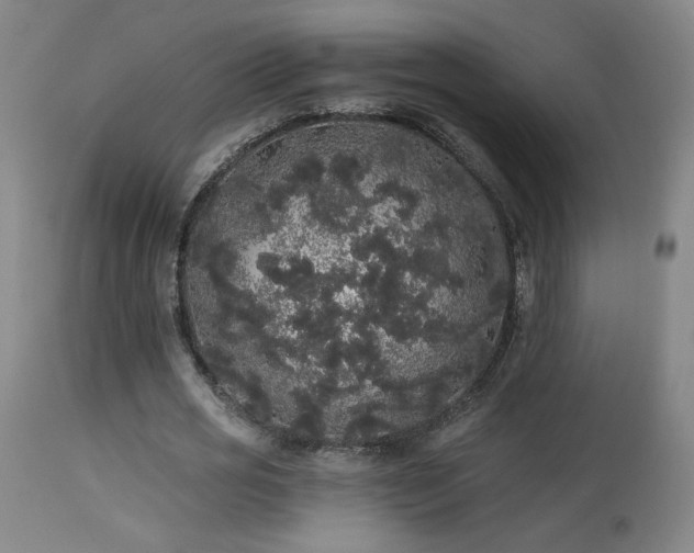 X0000113980725200910021136