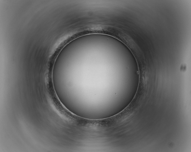 X0000113980728200910021136