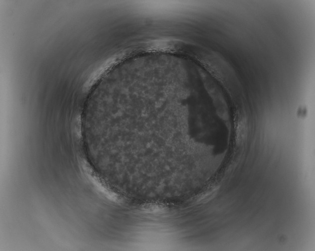 X0000113980729200910021136