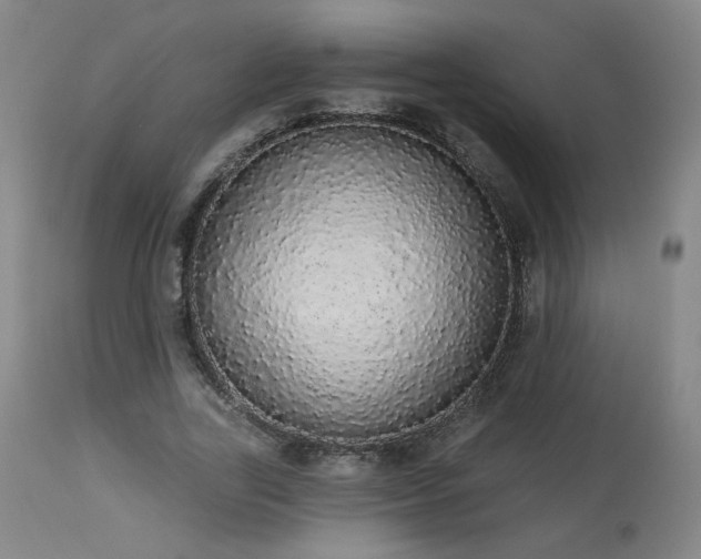 X0000113980731200910021136