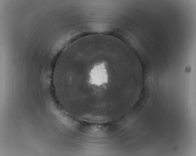 X0000113980736200910021136