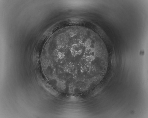 X0000113980737200910021136