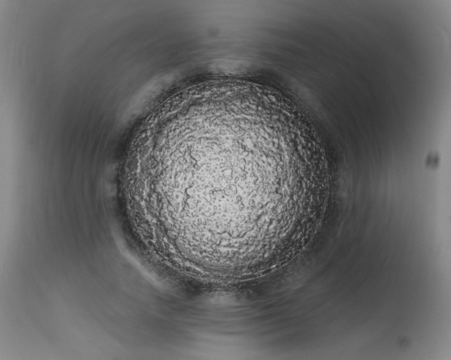 X0000113980738200910021136