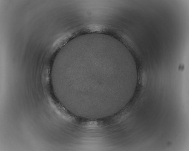 X0000113980740200910021136