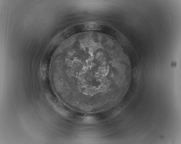 X0000113980741200910021136