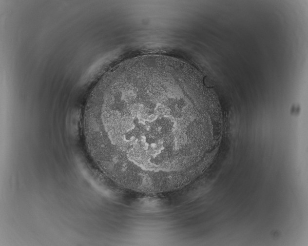 X0000113980742200910021136