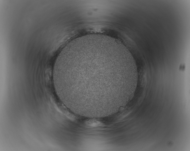 X0000113980747200910021136