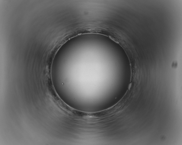 X0000113980748200910021136