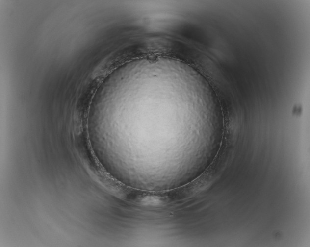 X0000113980751200910021136