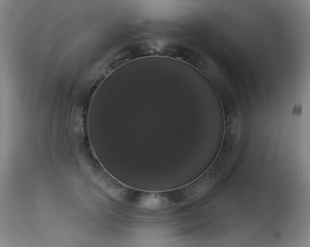 X0000113980754200910021136