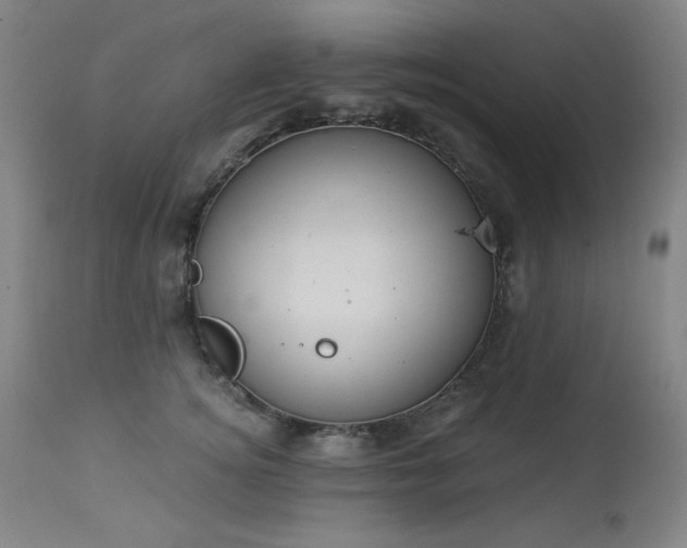 X0000113980756200910021136