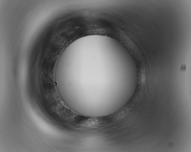 X0000113980764200910021136