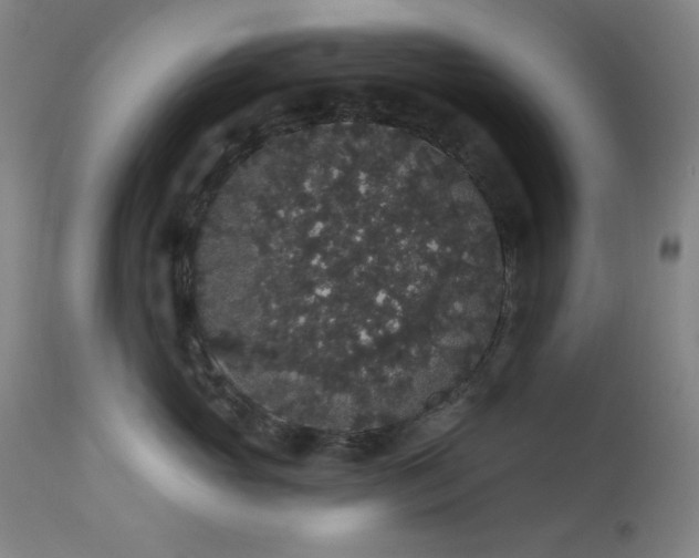 X0000113980765200910021137