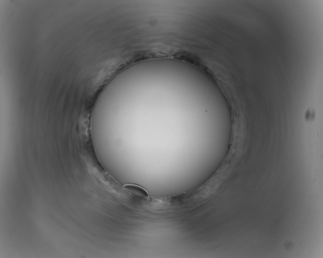 X0000113980768200910021137