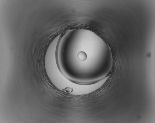 X0000113980769200910021136