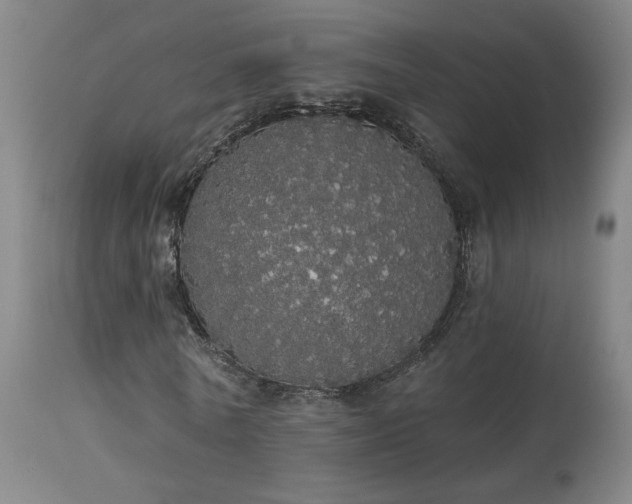 X0000113980770200910021136