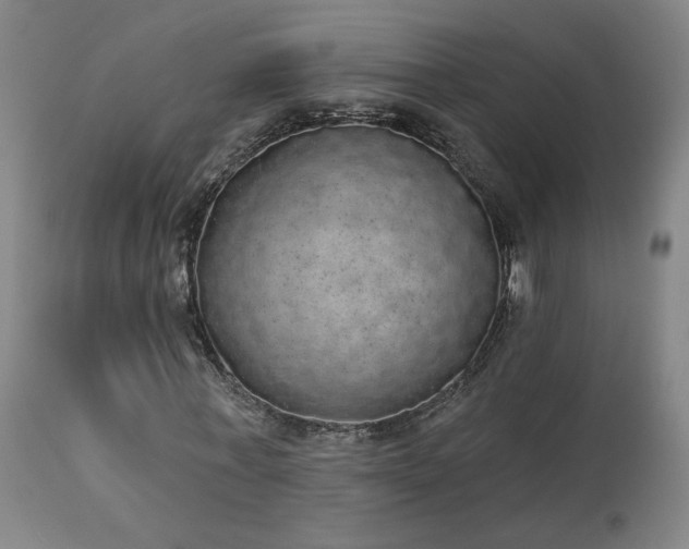 X0000113980771200910021136