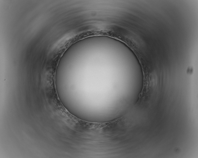 X0000113980773200910021136