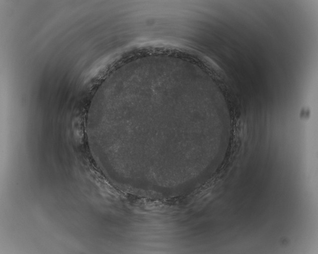 X0000113980774200910021136