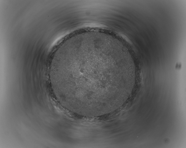 X0000113980775200910021136