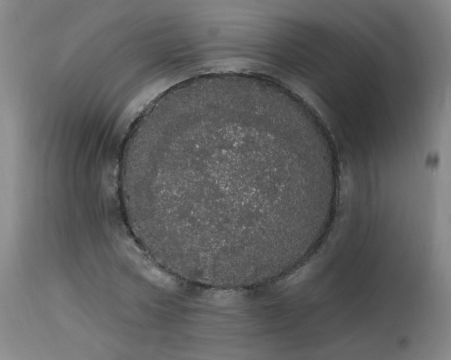 X0000113980778200910021136