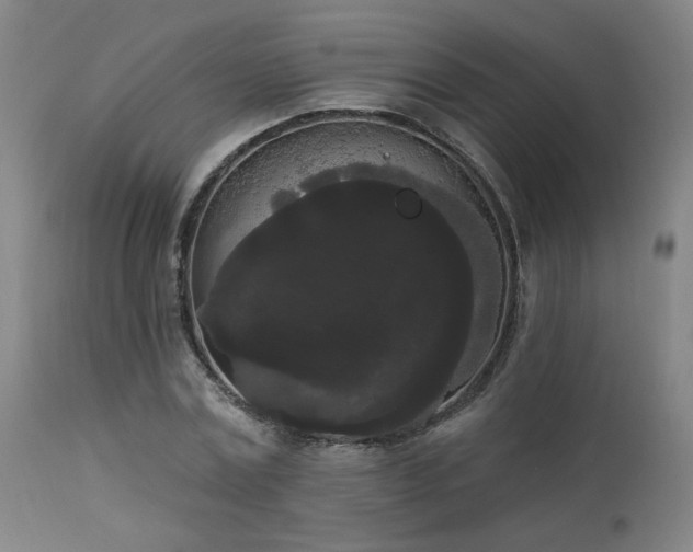 X0000113980779200910021136