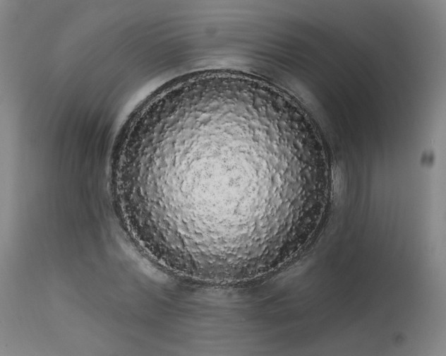 X0000113980780200910021136