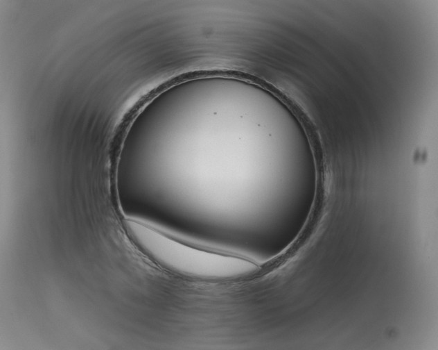 X0000113980781200910021136