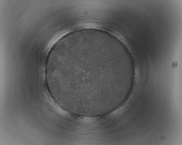 X0000113980782200910021136