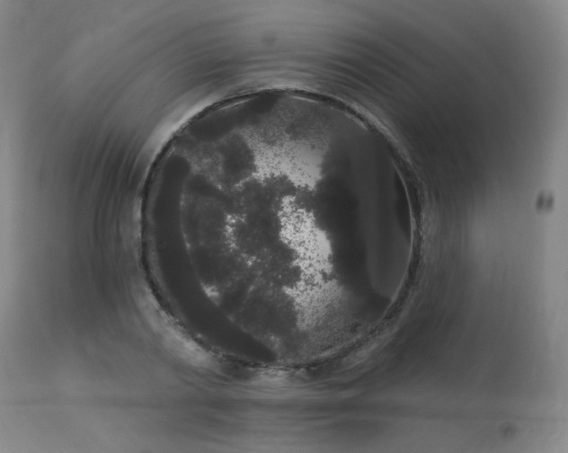 X0000113980790200910021135