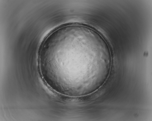 X0000113980791200910021135