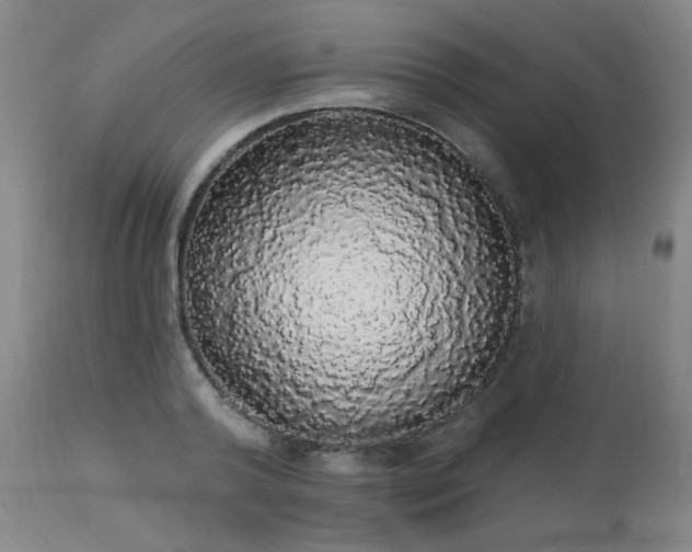 X0000113980792200910021135