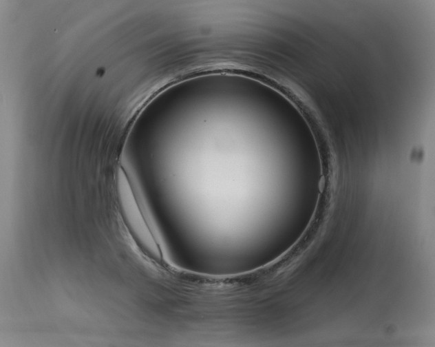 X0000113980793200910021135