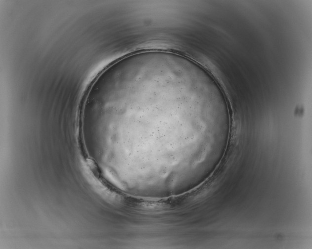X0000113980795200910021135