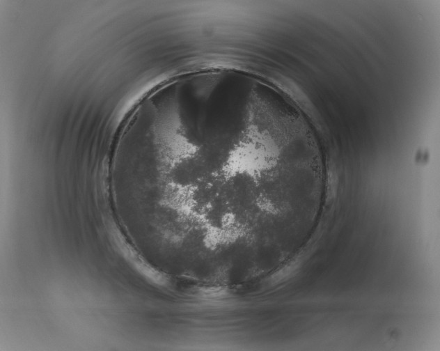 X0000113980798200910021135