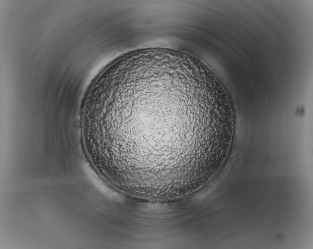 X0000113980800200910021135