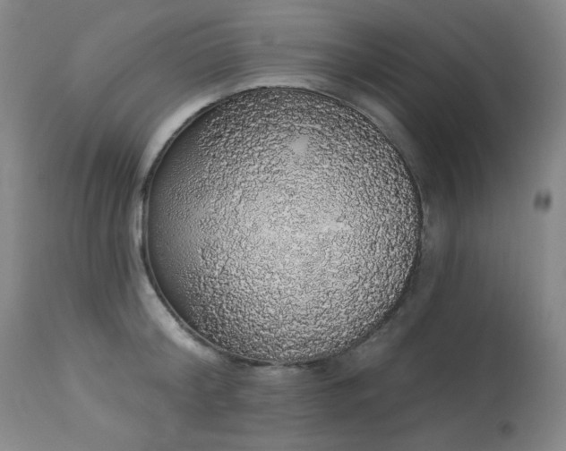 X0000113980804200910021135