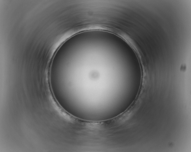 X0000113980813200910021135